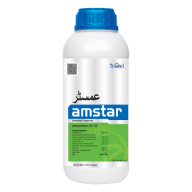 AMSTAR