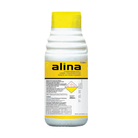 ALINA