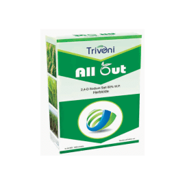 ALLOUT