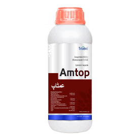 AMTOP