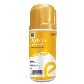 AMSYS