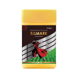 BISMARK