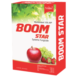 BOOM STAR