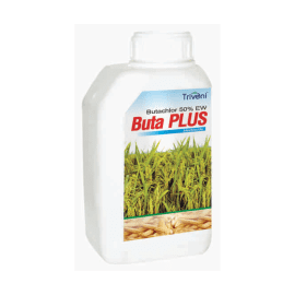 BUTA PLUS