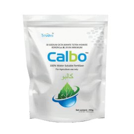 CALBO