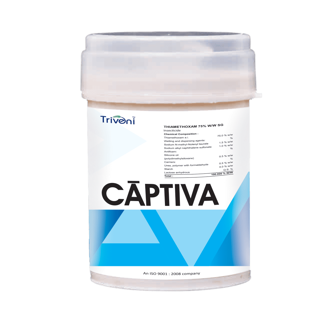 CAPTIVA