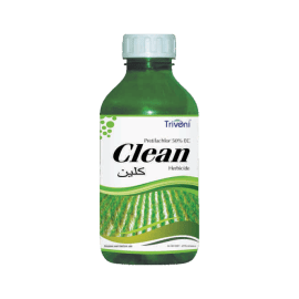 CLEAN
