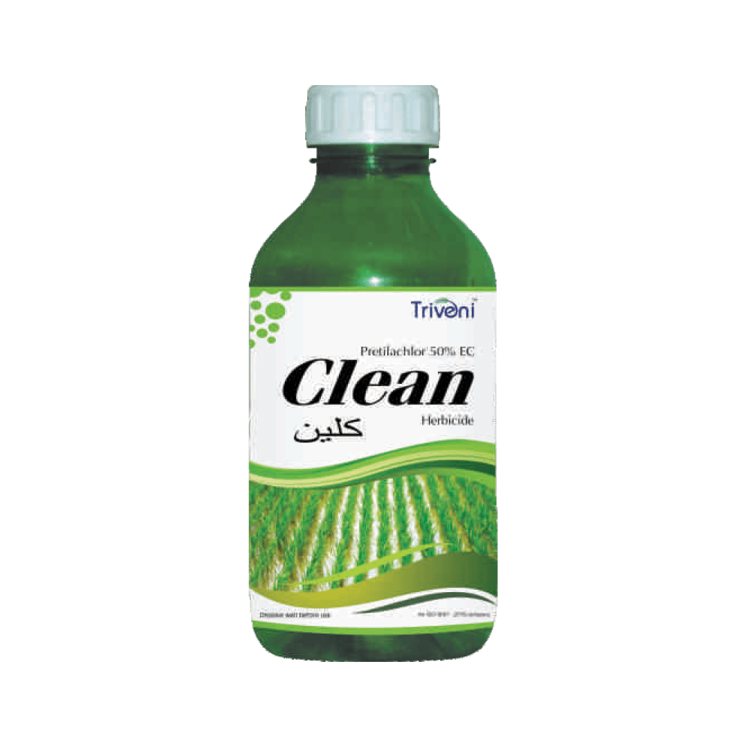 CLEAN