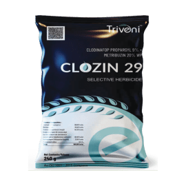 CLOZIN 29