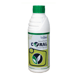CORAL