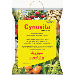 CYNOVITA