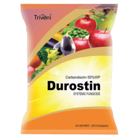 DURUSTIN