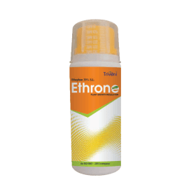 ETHRONE