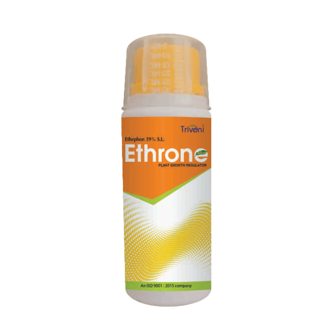 ETHRONE