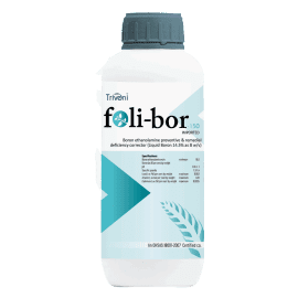 FOLI-BOR150
