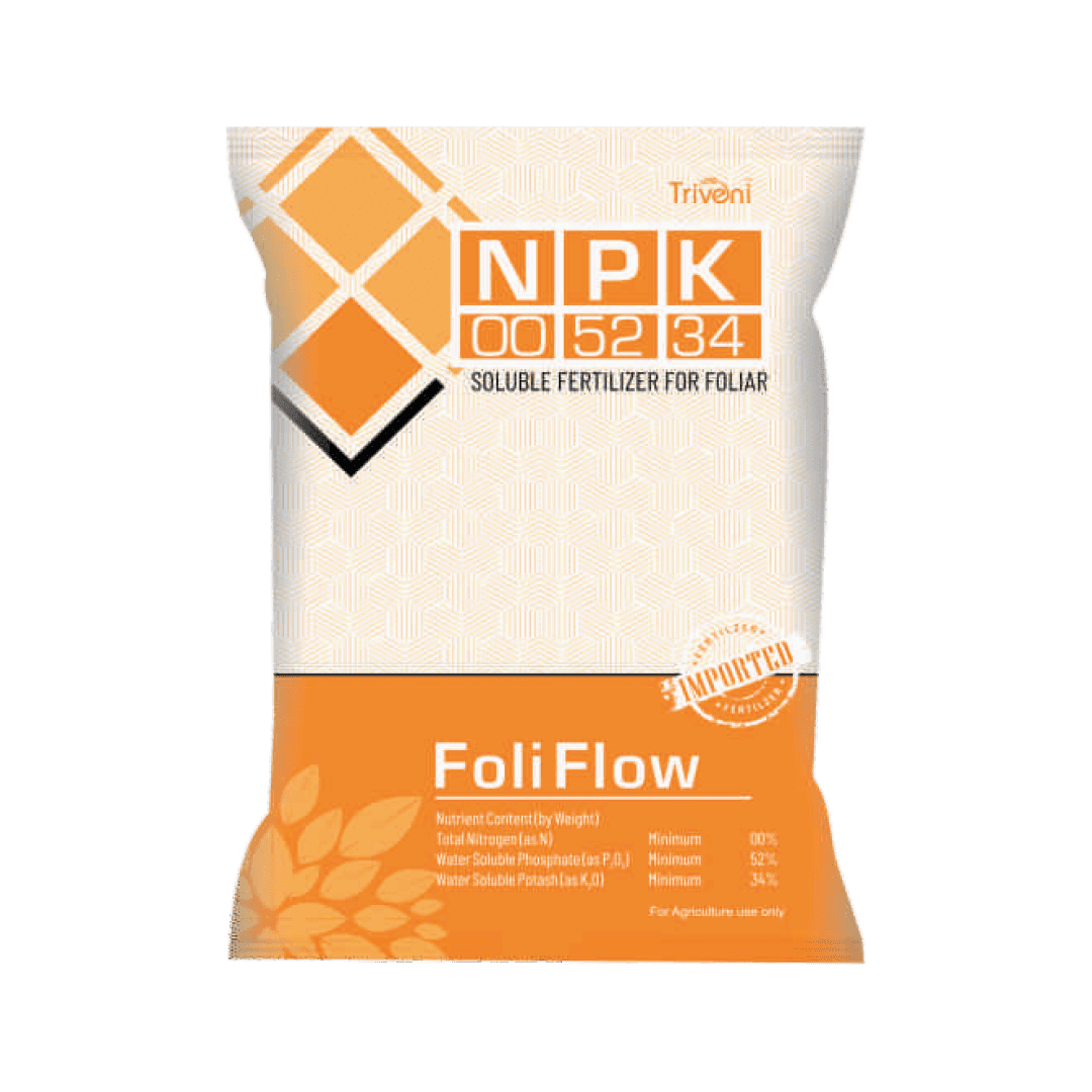 FOLI FLOW 00:52:34