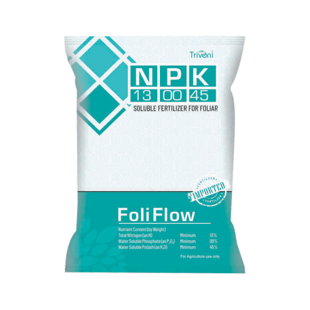 FOLI FLOW 13:00:45