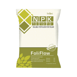 FOLI FLOW 19:19:19