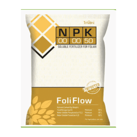 FOLI FLOW 00:00:50