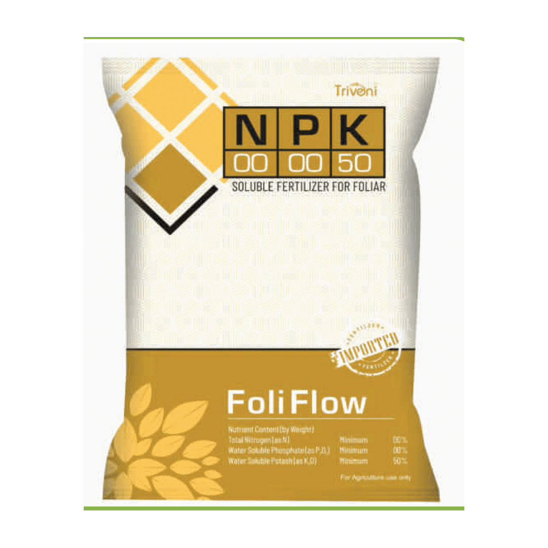 FOLI FLOW 00:00:50