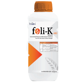 FOLI-K480