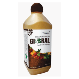GIBBRAL