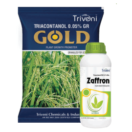 GOLD-GR & ZAFFRON EW