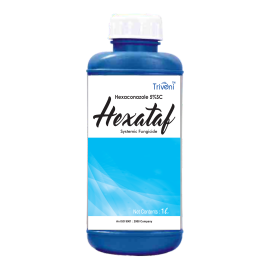 HEXATAF