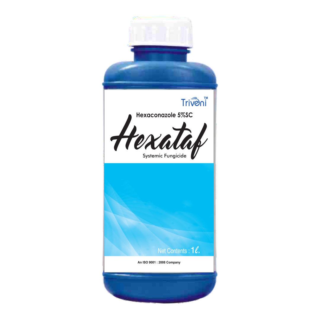 HEXATAF