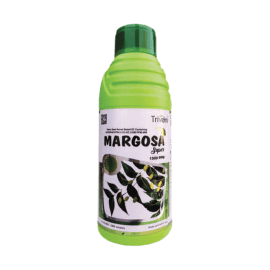MARGOSA