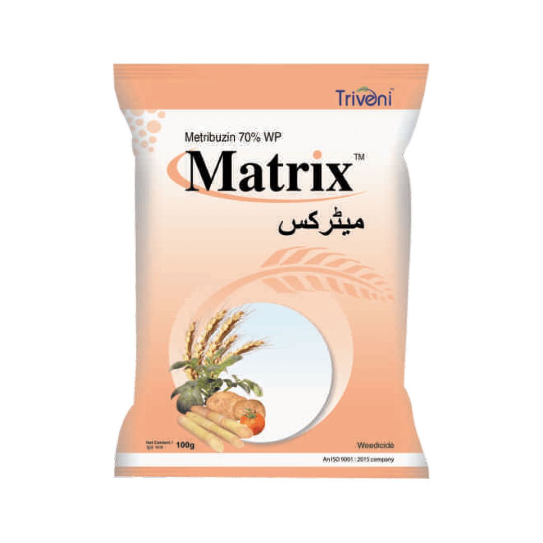 MATRIX