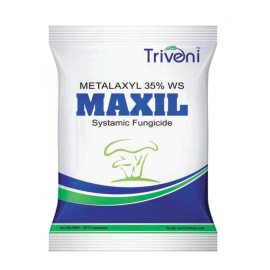 MAXIL