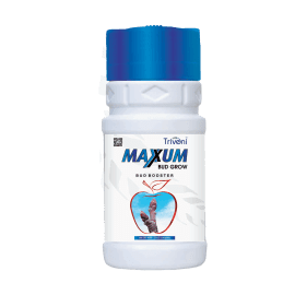 MAXXUM BUD GROW