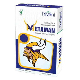 METAMAN