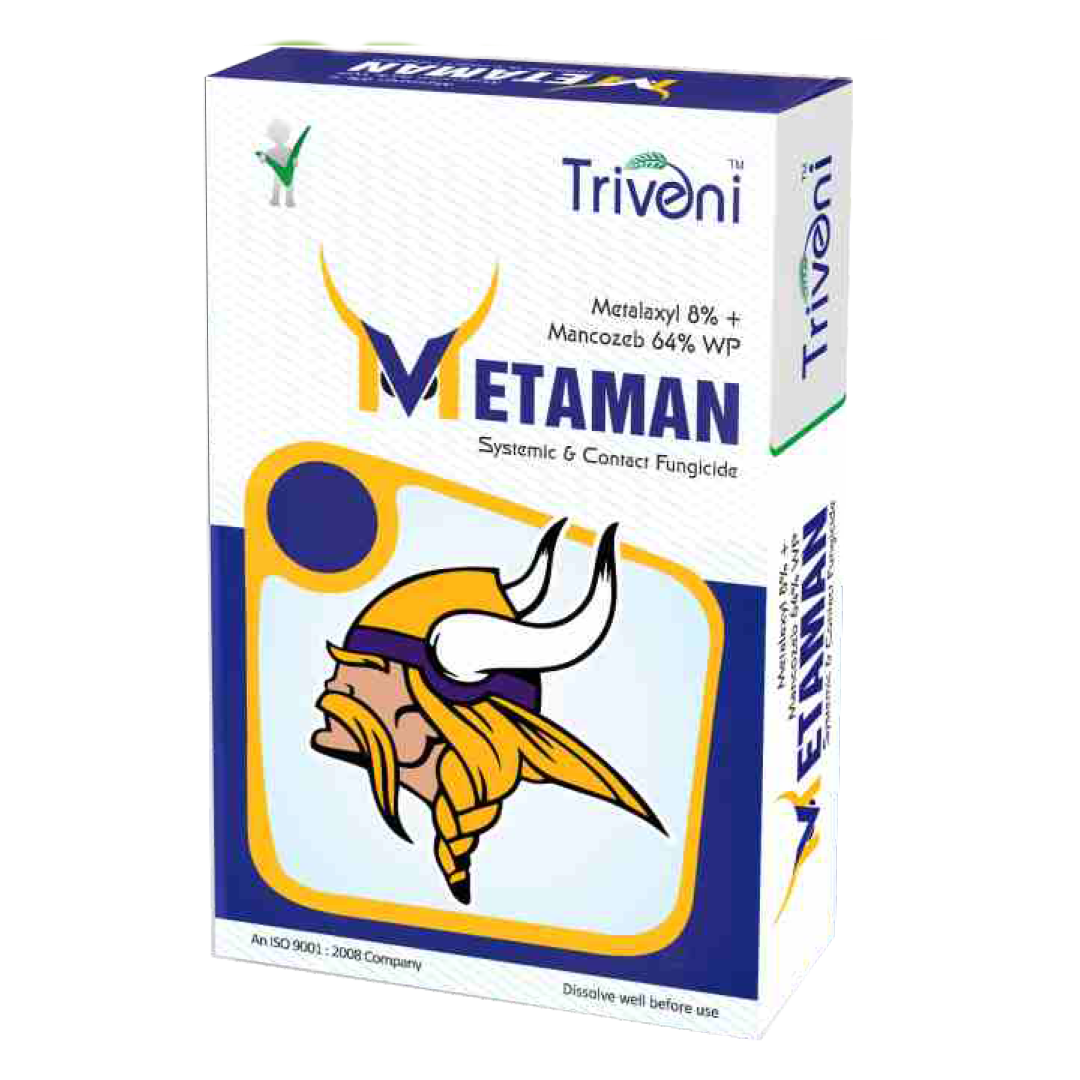 METAMAN