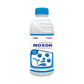MOXON