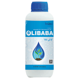 OLIBABA