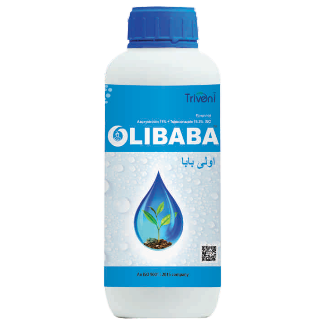 OLIBABA