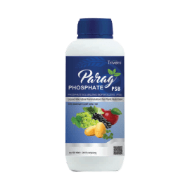 PARAG PHOSPHATE