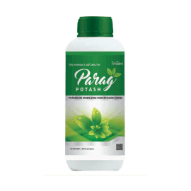 PARAG POTASH