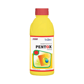 PENTOX