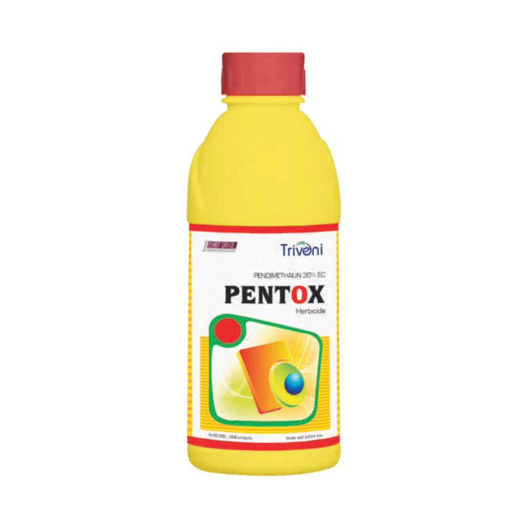 PENTOX