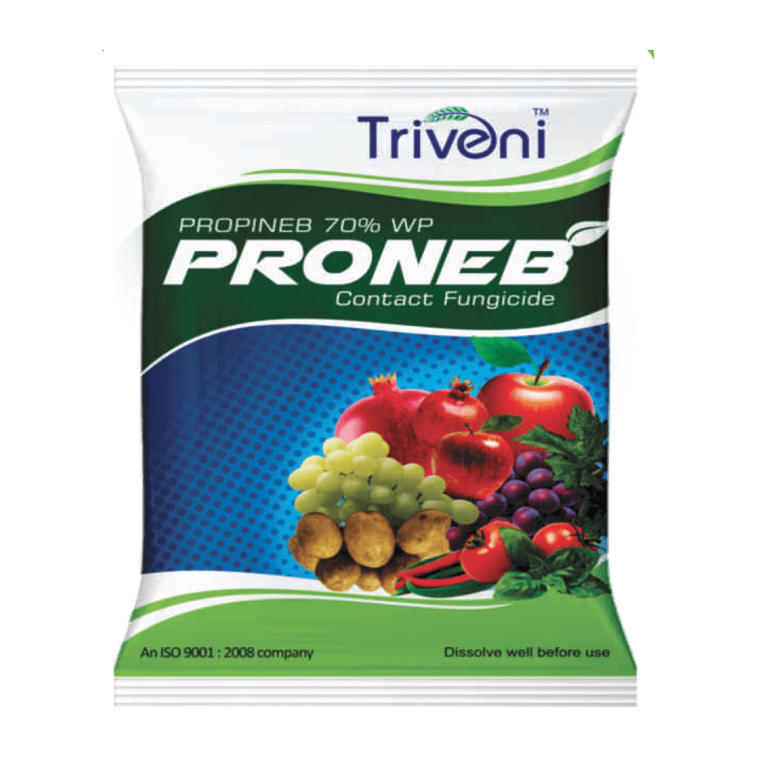 PRONEB