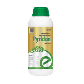 PYRIDON