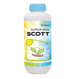 SCOTT