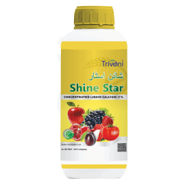 SHINE STAR