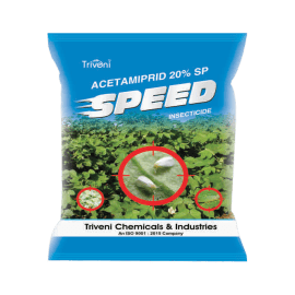 SPEED