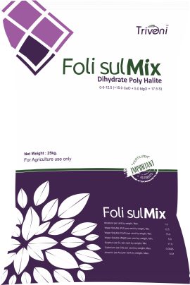 Foli Sul Mix