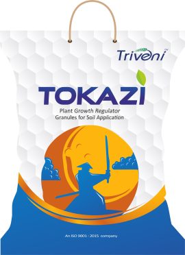 Tokazi