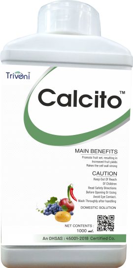 Calcito